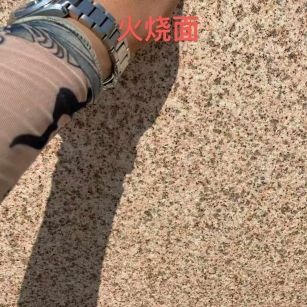 固原黄金麻火烧面
