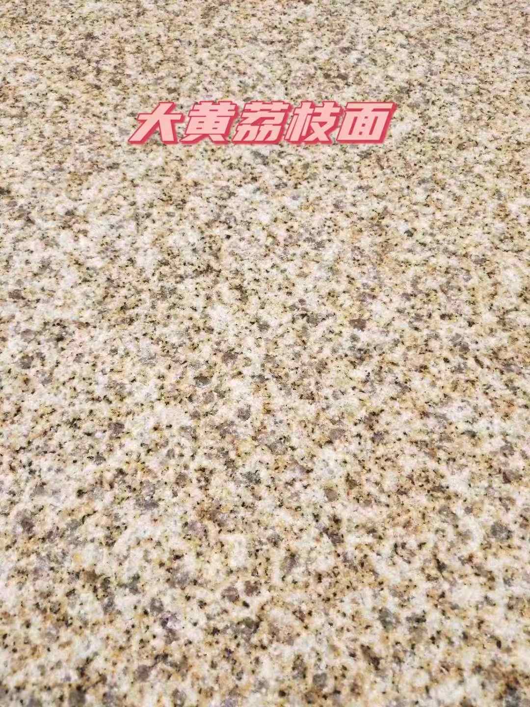 固原黄金麻大黄荔枝面